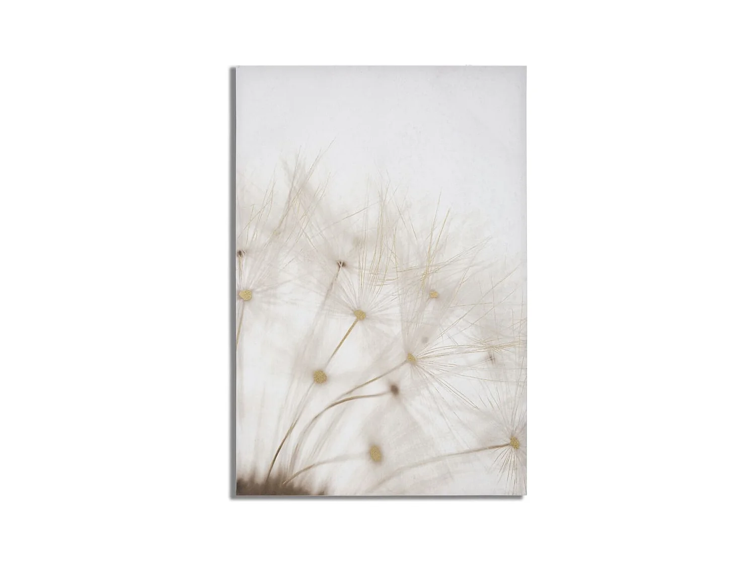 Stampa su Tela Soffioni, Multicolore, 80x3x120 cm, Epikasa