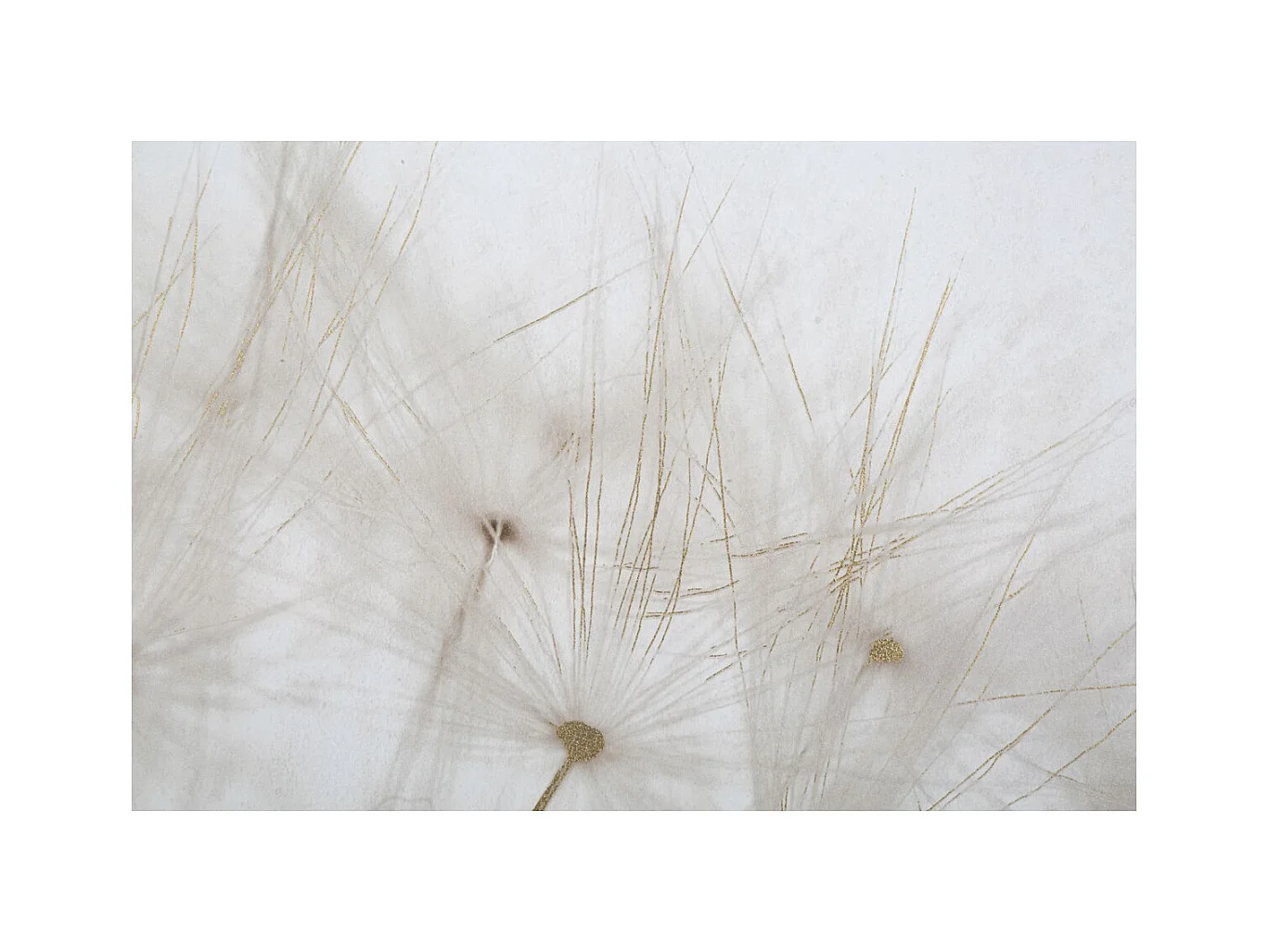 Stampa su Tela Soffioni, Multicolore, 80x3x120 cm, Epikasa