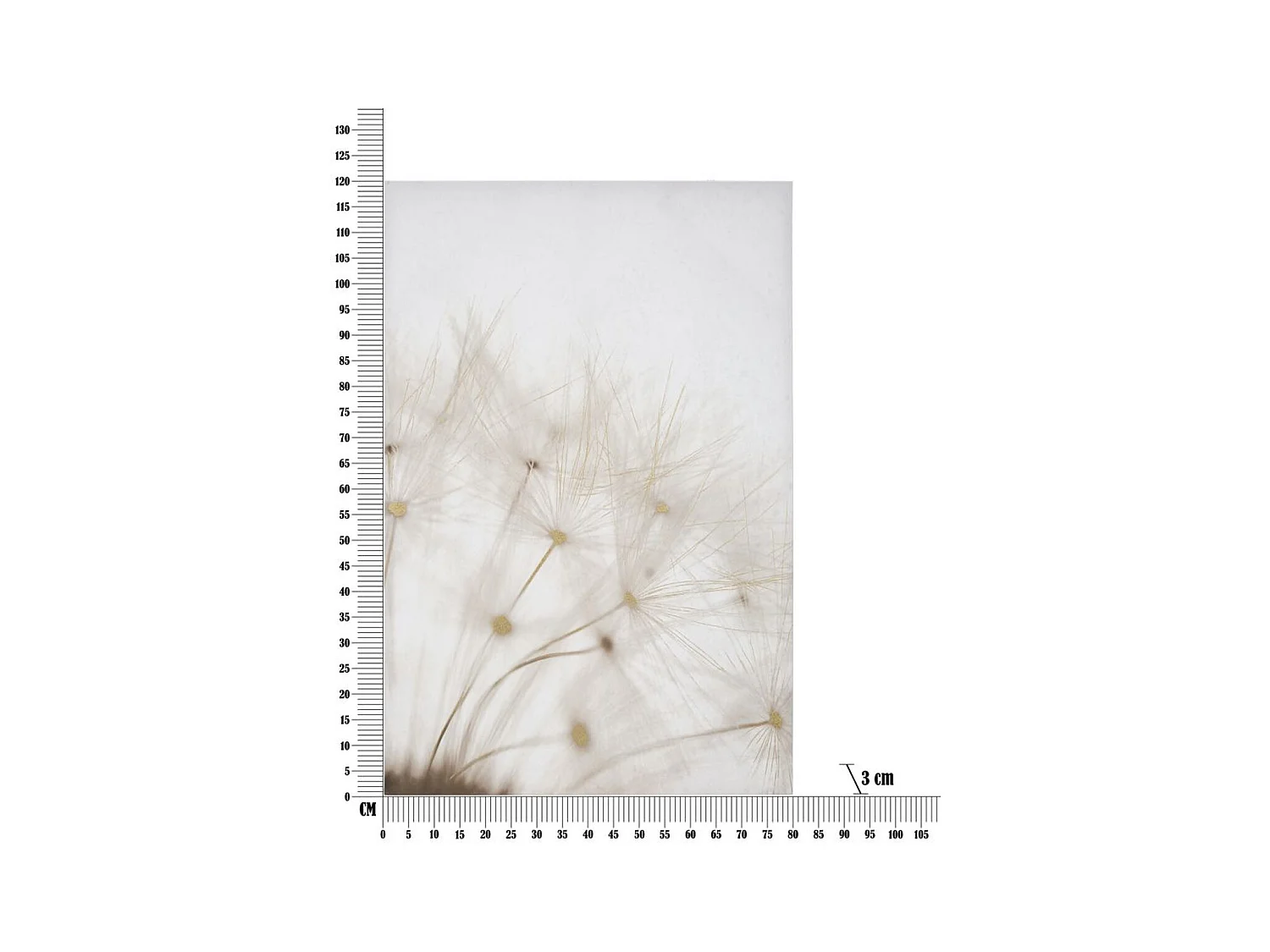 Stampa su Tela Soffioni, Multicolore, 80x3x120 cm, Epikasa