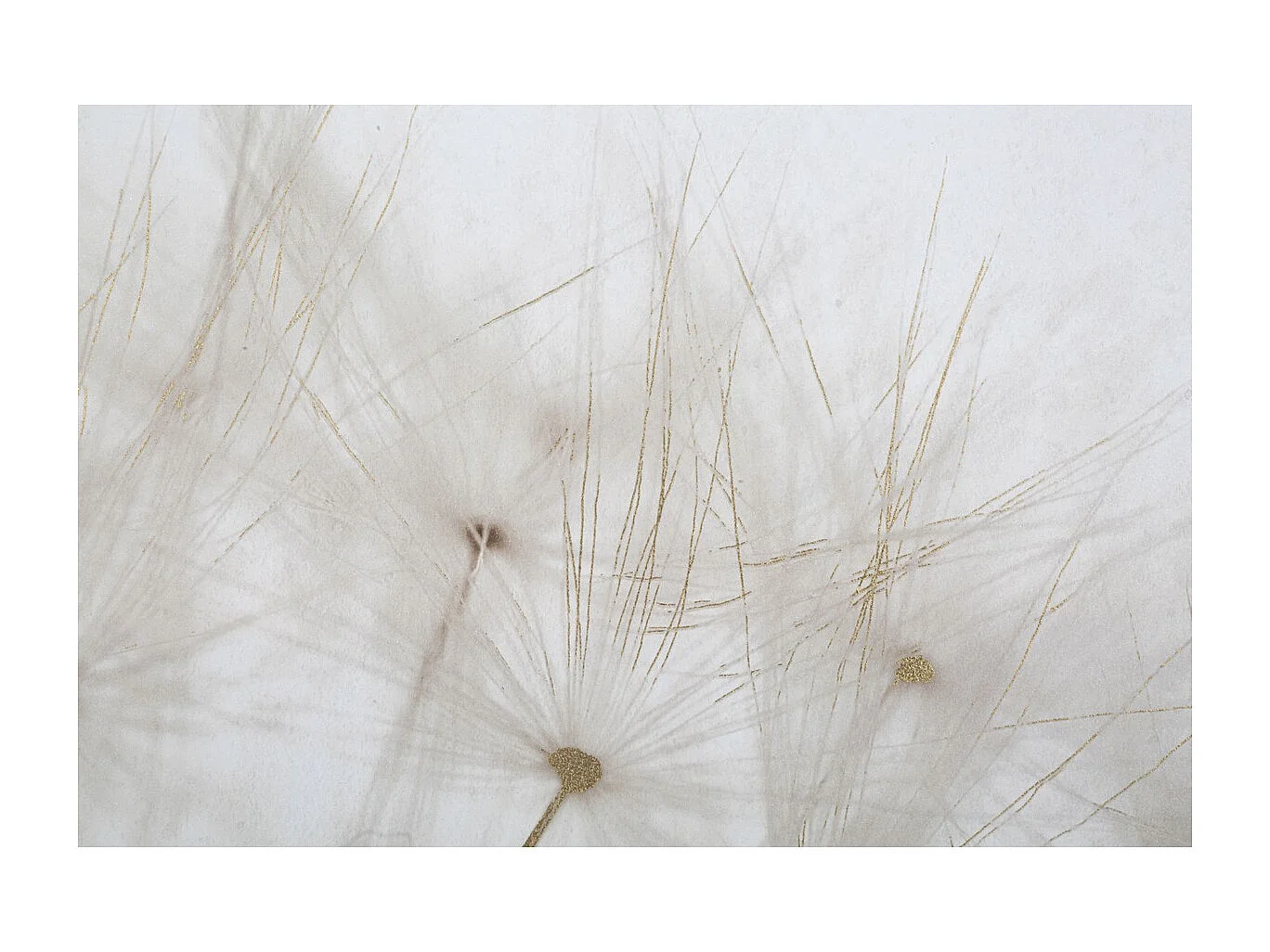 Stampa su Tela Soffioni, Multicolore, 80x3x120 cm, Seven Design