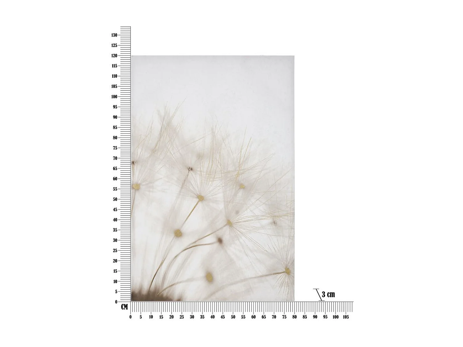 Stampa su Tela Soffioni, Multicolore, 80x3x120 cm, Seven Design