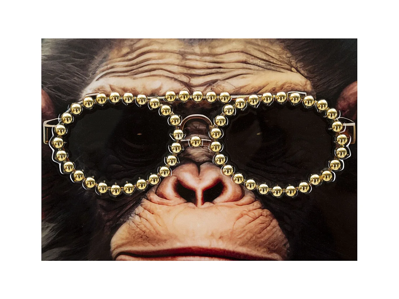 Impresión sobre Lienzo Mono 8, Multicolor, 52,5x2,8x72,5 cm, Epikasa