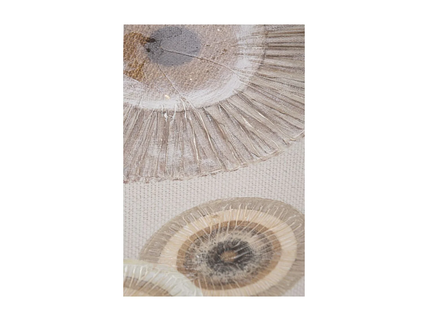 Impression sur Toile Cercles 29, Marron, 50x3,2x100 cm, Seven Design