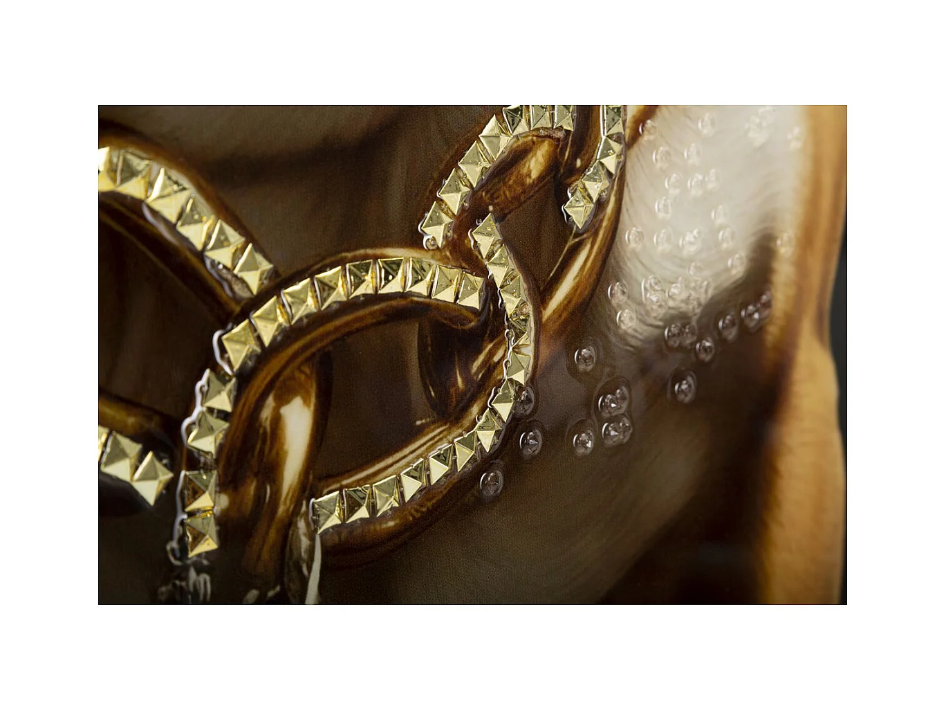 Impression sur Toile Chien 10, Multicouleur, 62x4x82 cm, Epikasa