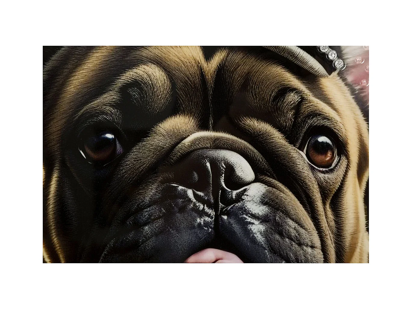 Impression sur Toile Chien 10, Multicouleur, 62x4x82 cm, Epikasa