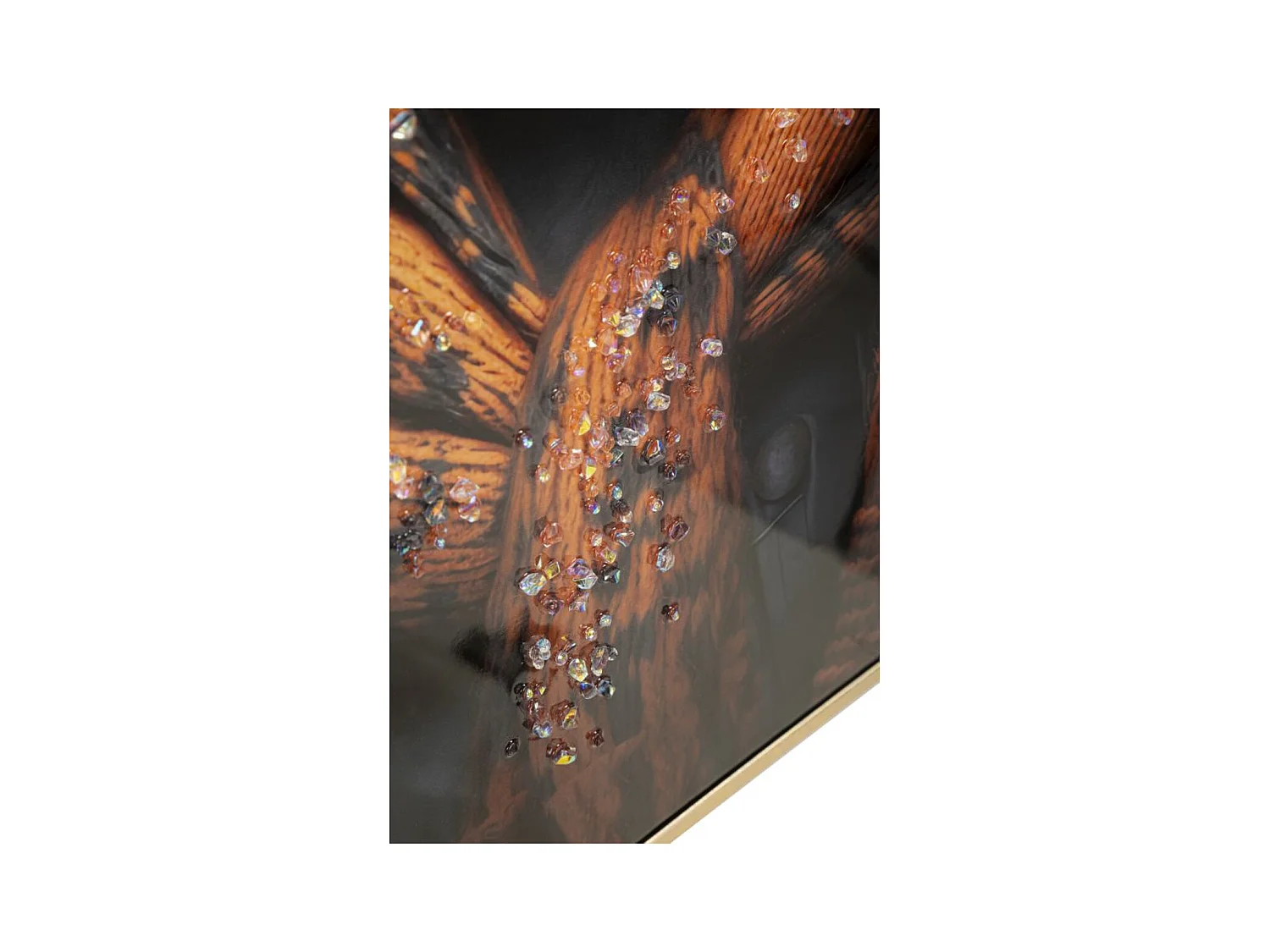 Stampa su Tela Cane 11, Multicolore, 42,5x2,8x82,5 cm, Epikasa