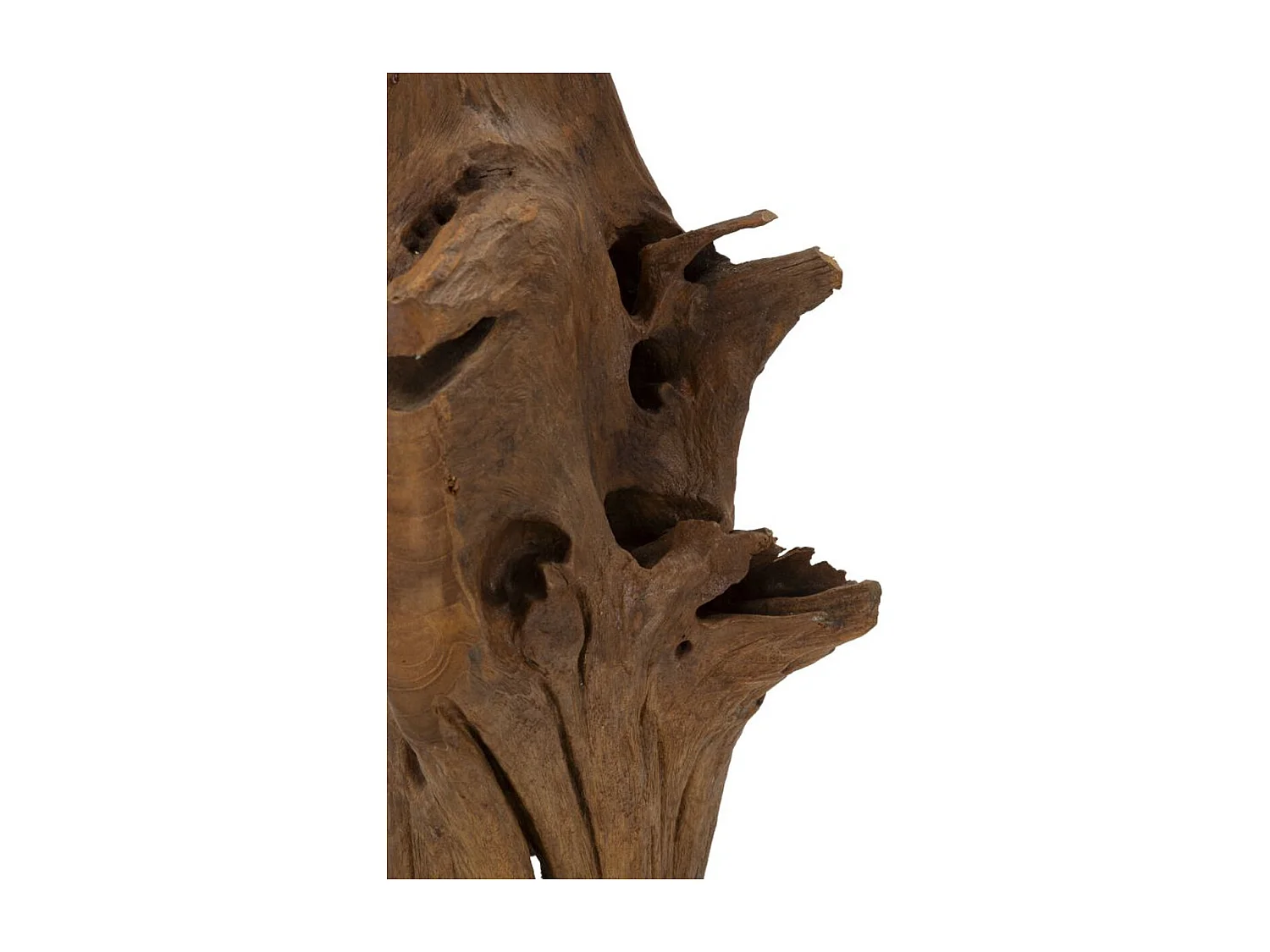 Rzeźba Korzeń 2, Brązowy, 23x27x64 cm, Seven Design