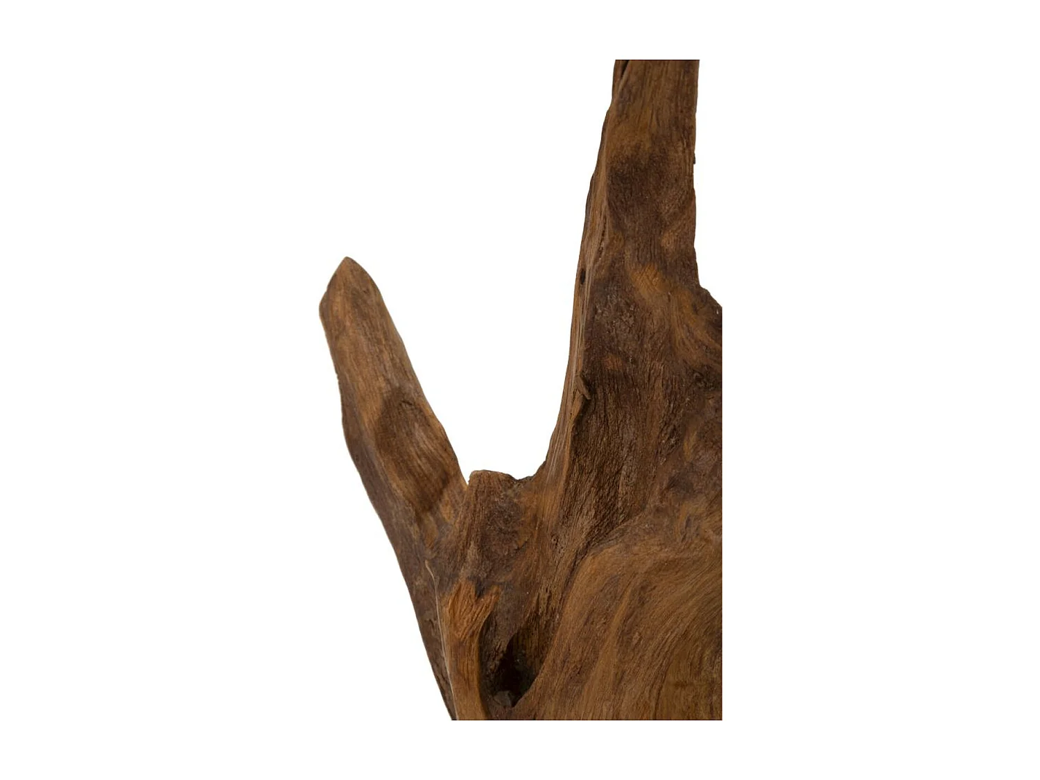 Sculpture Racine 4, Marron, 20x11x34 cm, Seven Design
