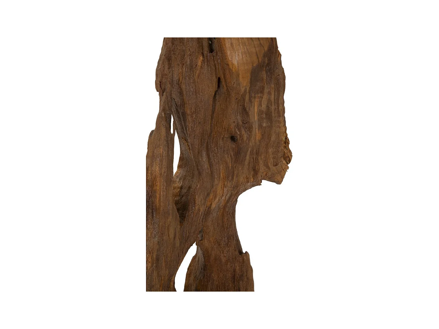 Rzeźba Korzeń 1, Brązowy, 18x13x55 cm, Epikasa