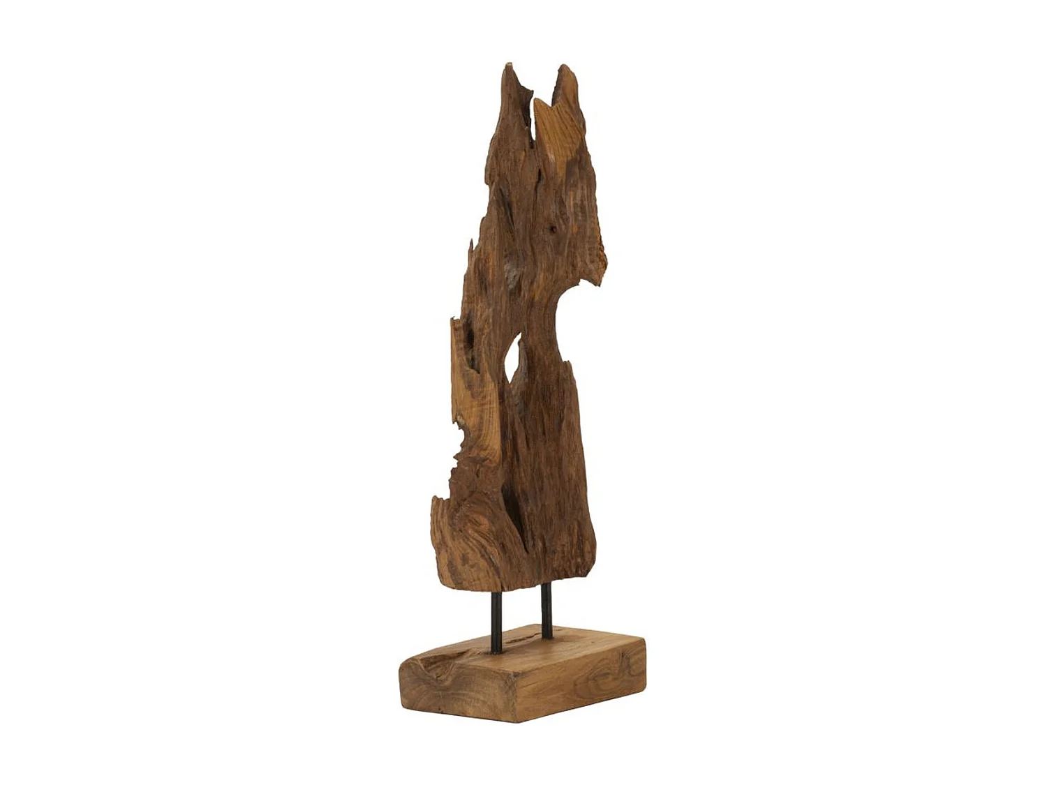 Sculpture Racine 1, Marron, 18x13x55 cm, Seven Design