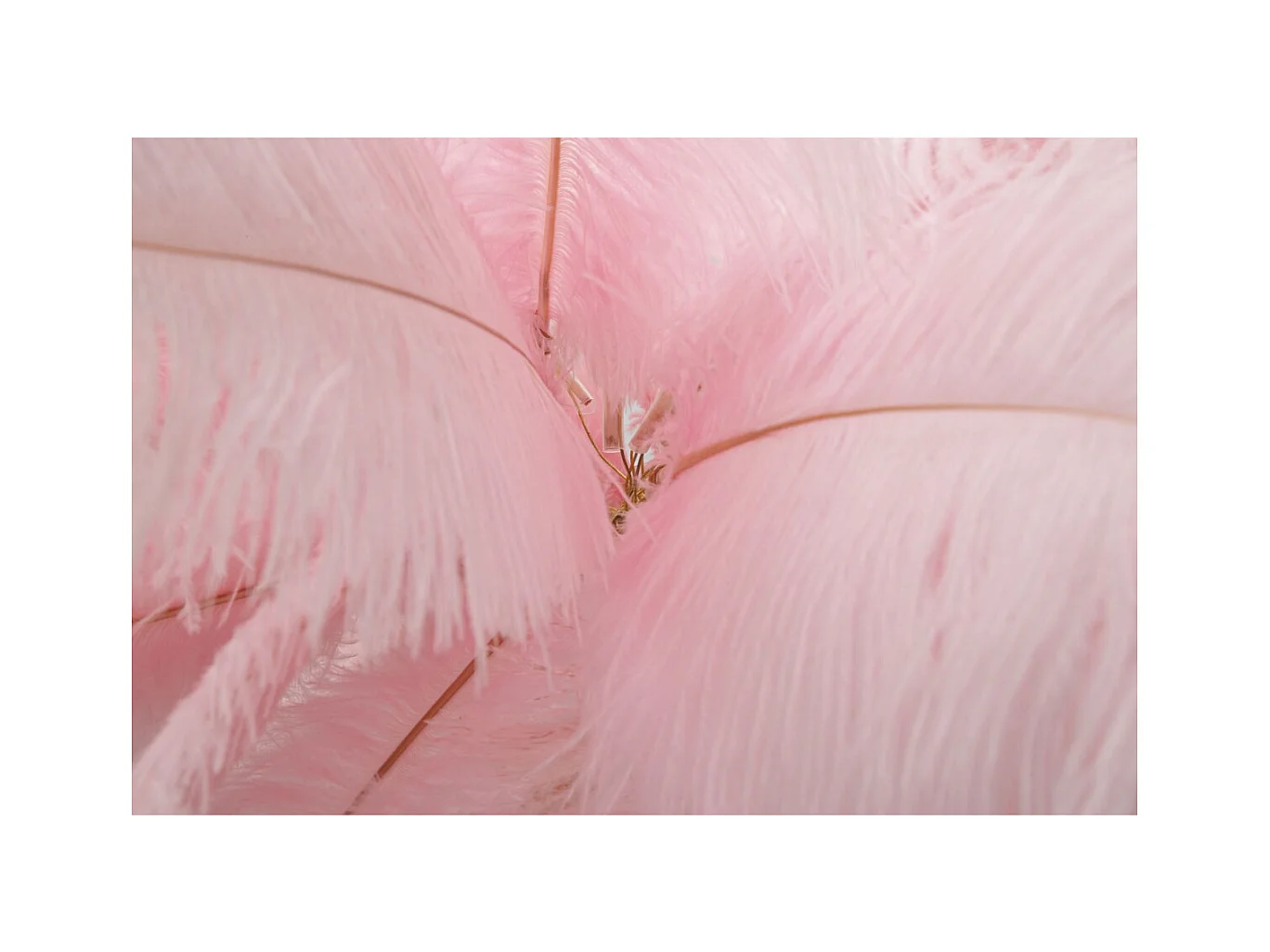 Lampadaire Plumes 10, Rose, 55x55x160 cm, Epikasa