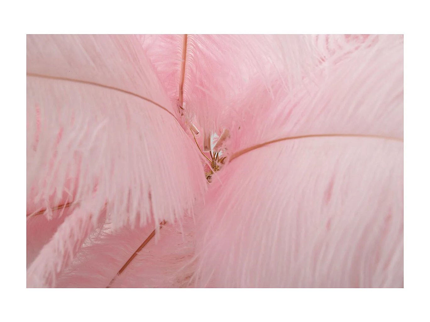 Lampa Podłogowa Pióra 10, Różowy, 55x55x160 cm, Seven Design