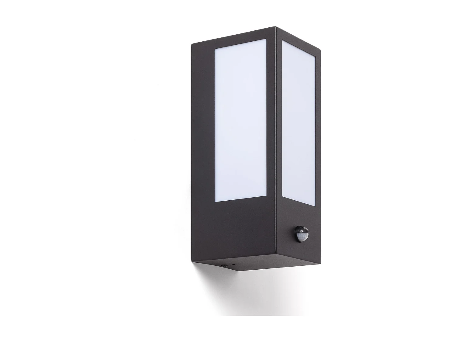 Applique Murale Extérieure Acier Inoxydable avec Détecteur de Mouvement Gakom Opal Noir