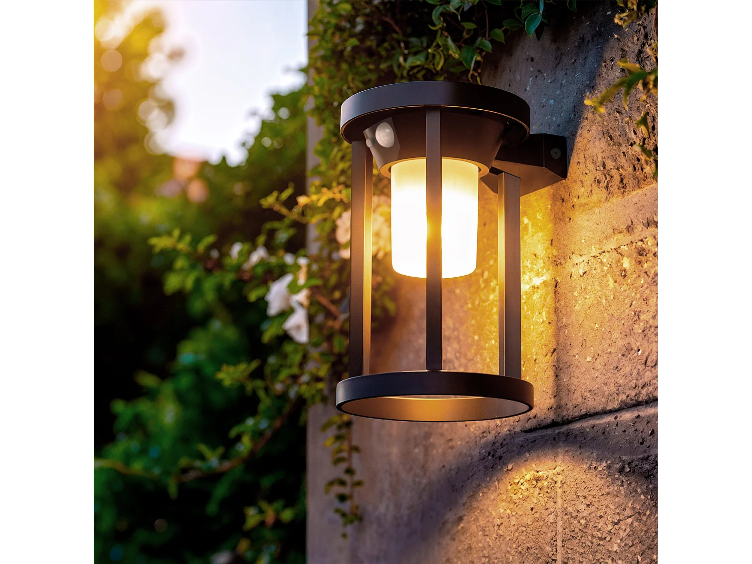 Applique Murale Extérieure Solaire LED 2W Aluminium avec Détecteur de Mouvement Eneko  Noir