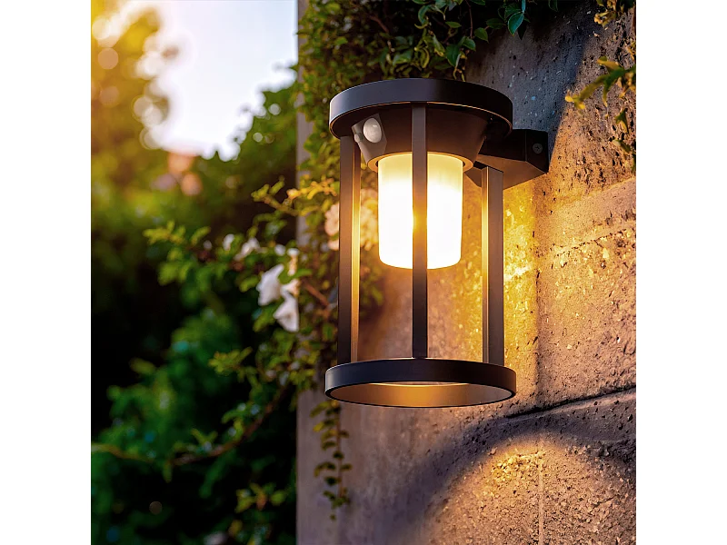 Applique Murale Extérieure Solaire LED 2W Aluminium avec Détecteur de Mouvement Eneko  Noir