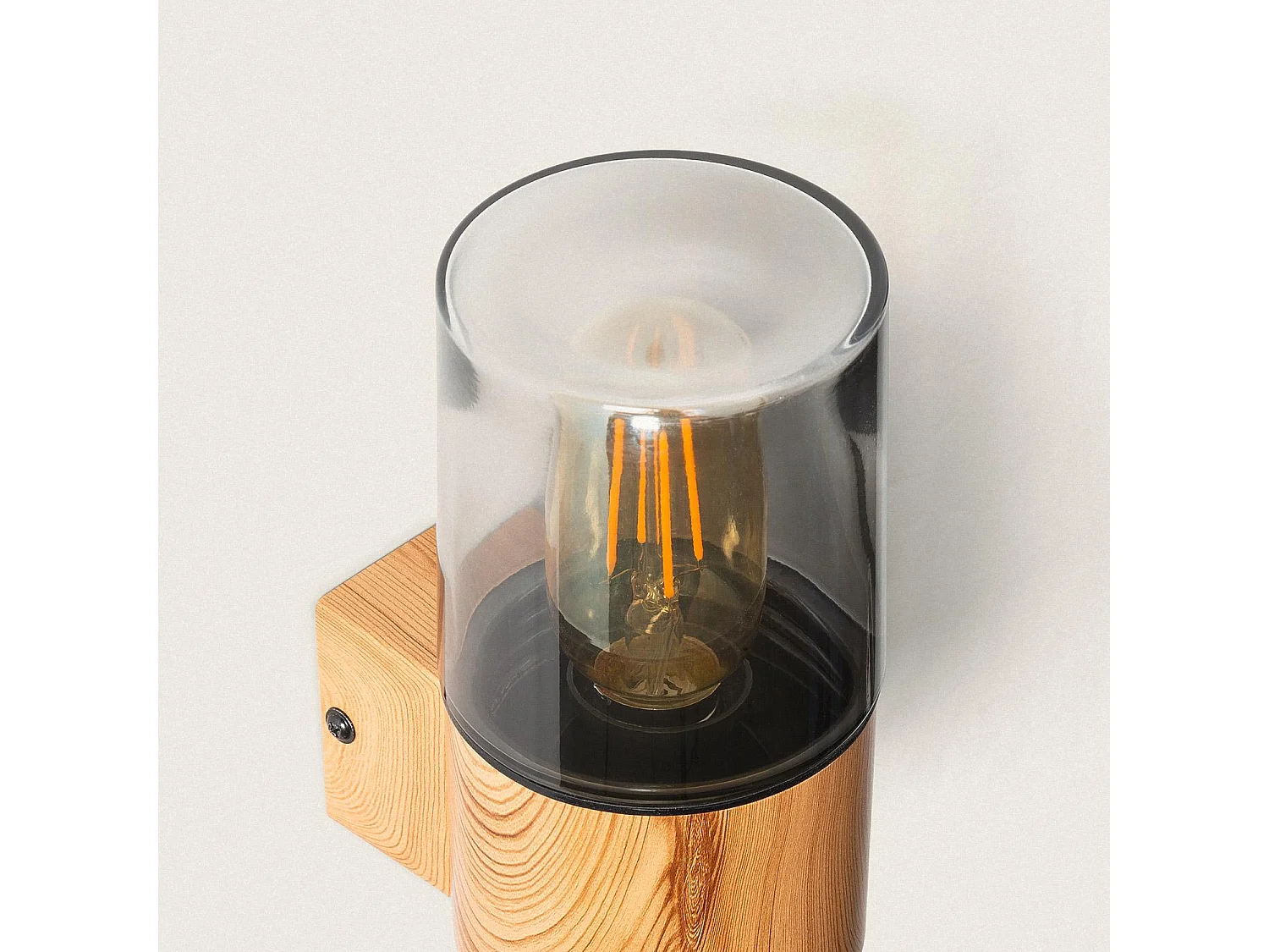 Applique Murale Extérieure Acier Inoxydable Emley Brun clair