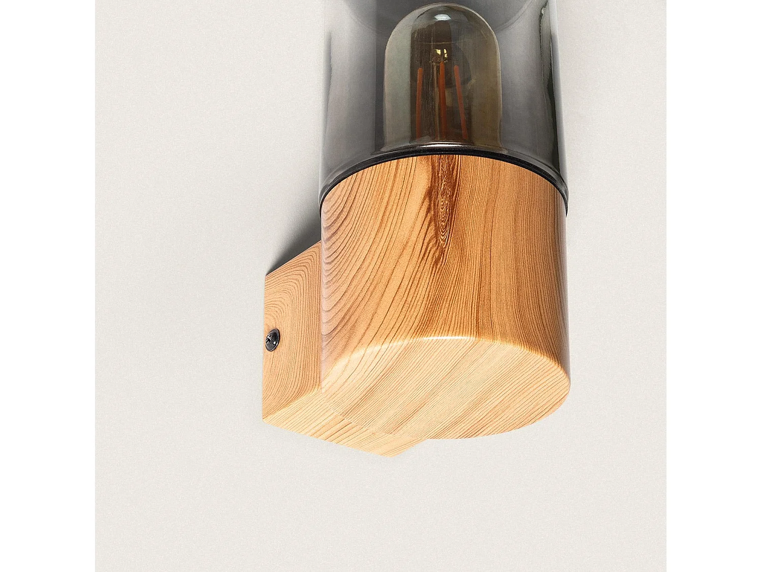 Applique Murale Extérieure Acier Inoxydable Emley Brun clair