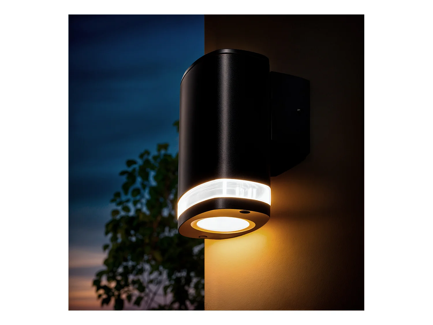 Aplique de Pared Exterior Ranedux Negro