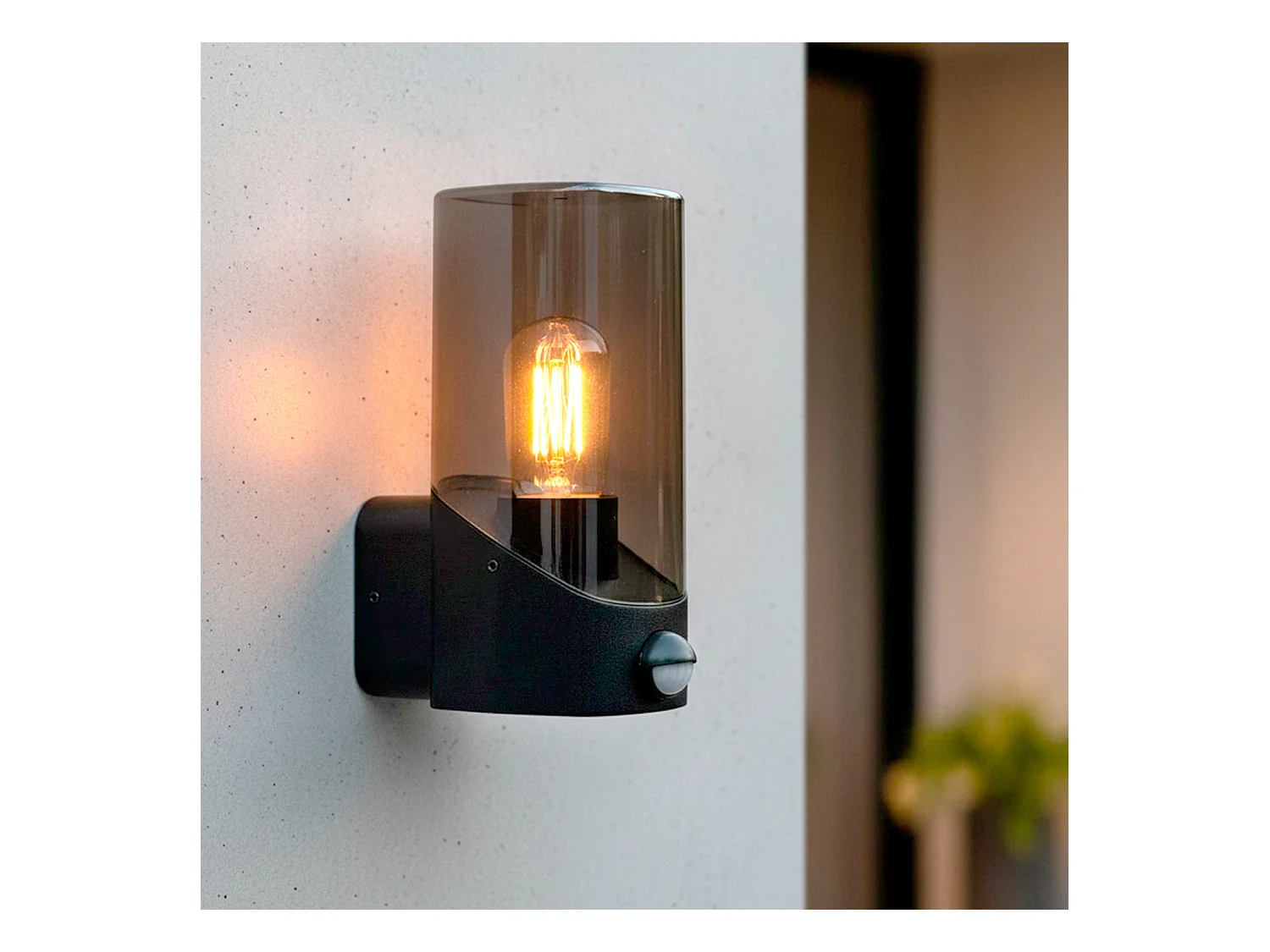 Applique Murale Extérieure avec Détecteur PIR Pelly Noir