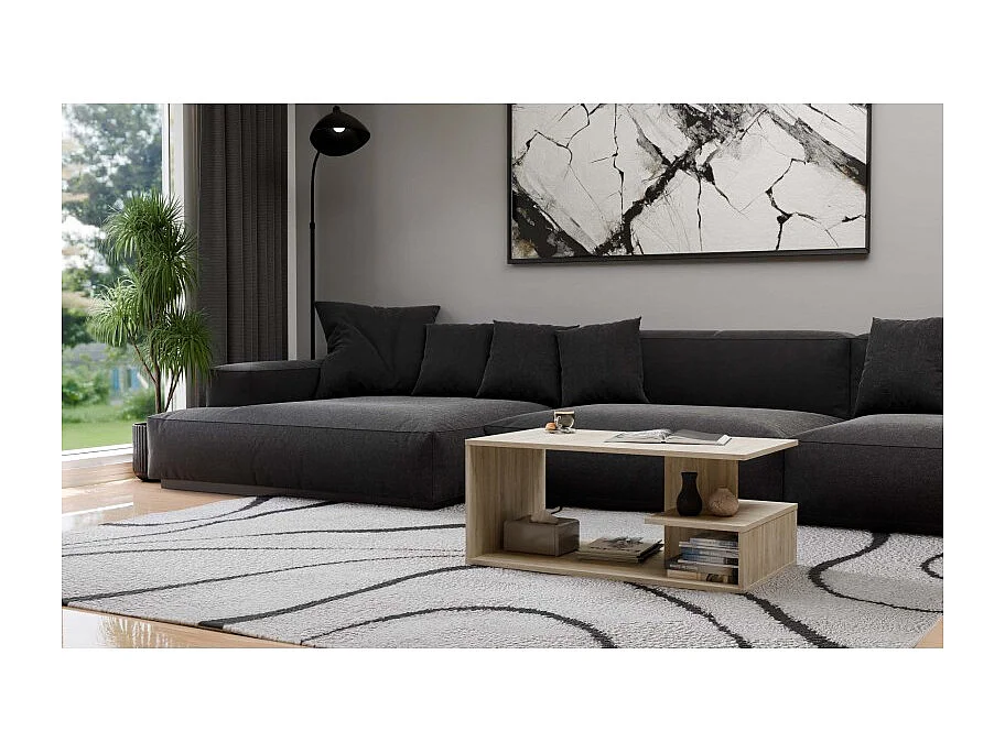 Banc Dallas BANC / TABLE BASSE MODERNE DALLAS SONOMA