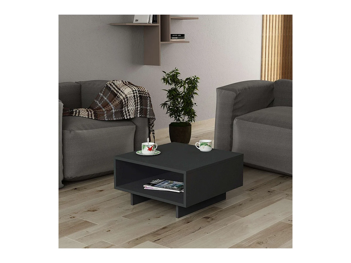 Niedriger Tisch mit 1 Regal L60 cm - Hola