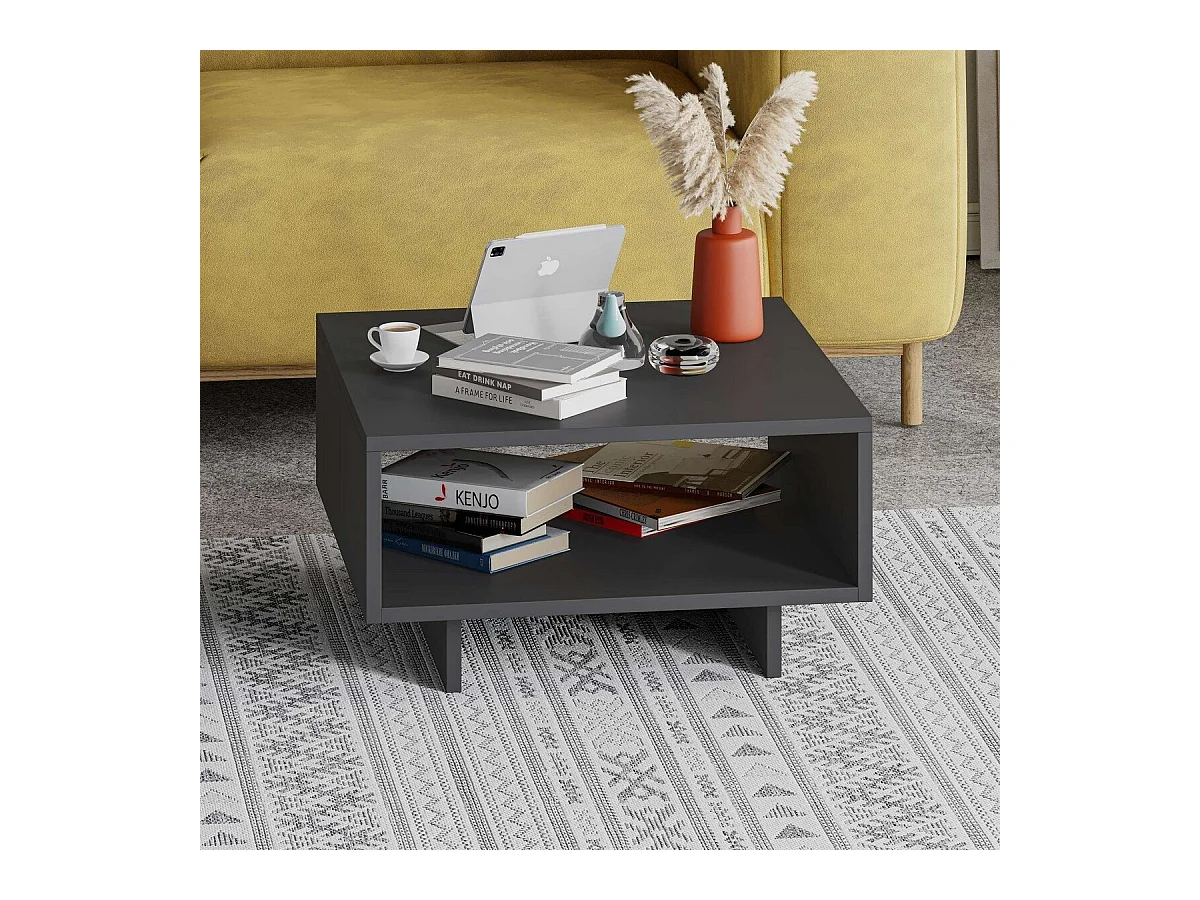 Niedriger Tisch mit 1 Regal L60 cm - Hola