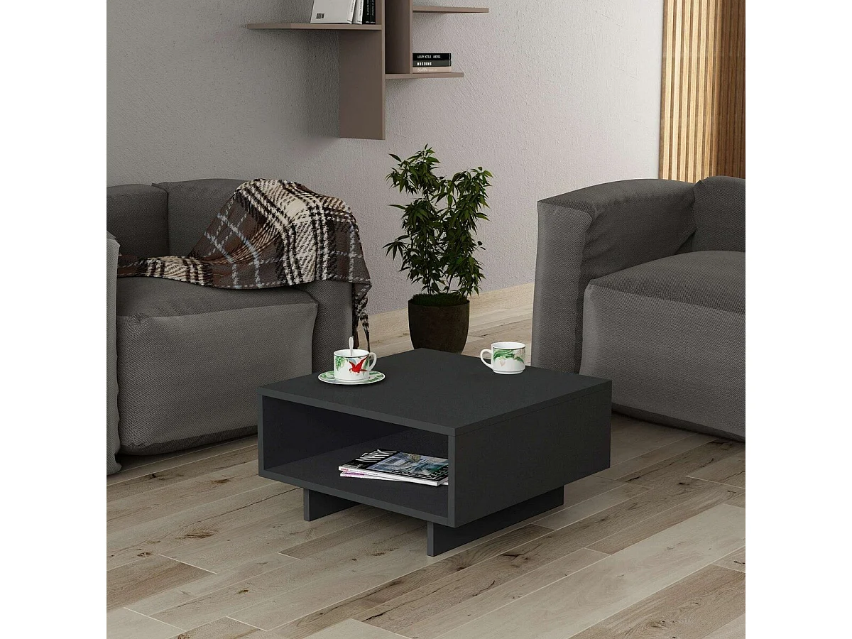 Salontafel 1 plank L60 cm - Hola