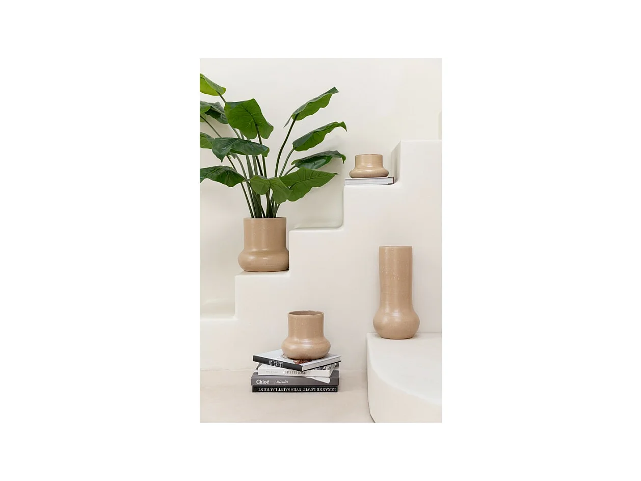 Pothos in vaso di plastica verde 50x50x70 cm