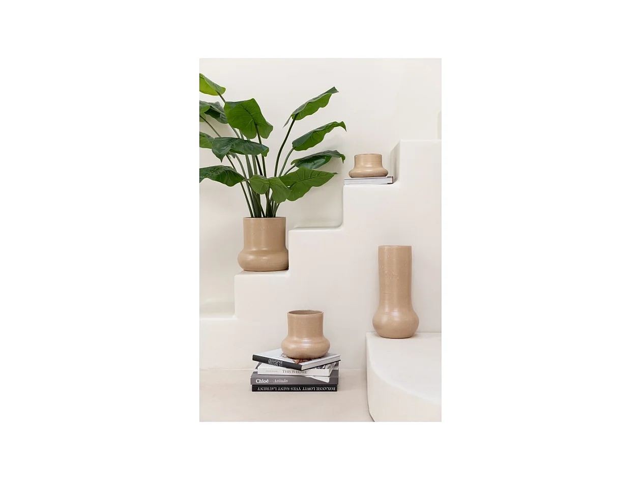 Pothos in vaso di plastica verde 50x50x70 cm