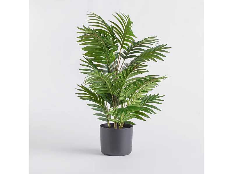 Herzstück Palmares Dekoration 70x50 cm Grün