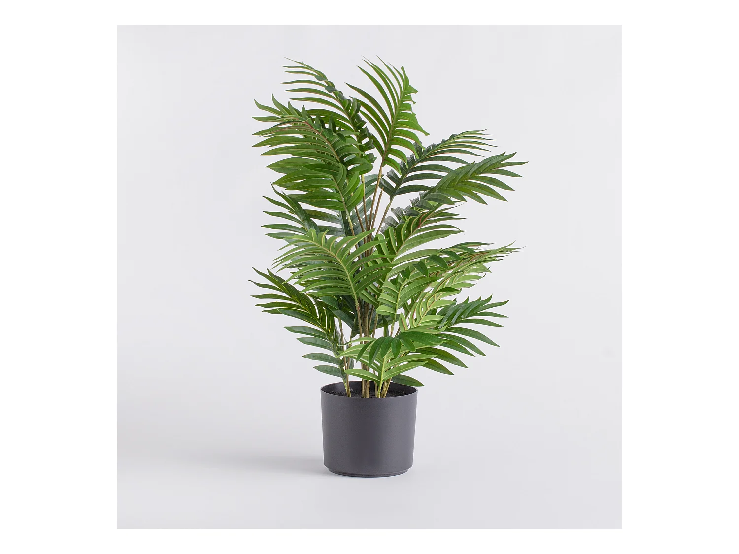 Herzstück Palmares Dekoration 70x50 cm Grün