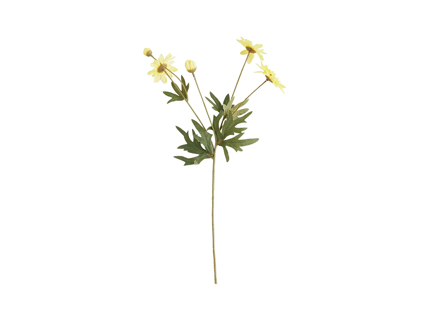 Blume Margareto Mittelgelb 48 x 15 x 8