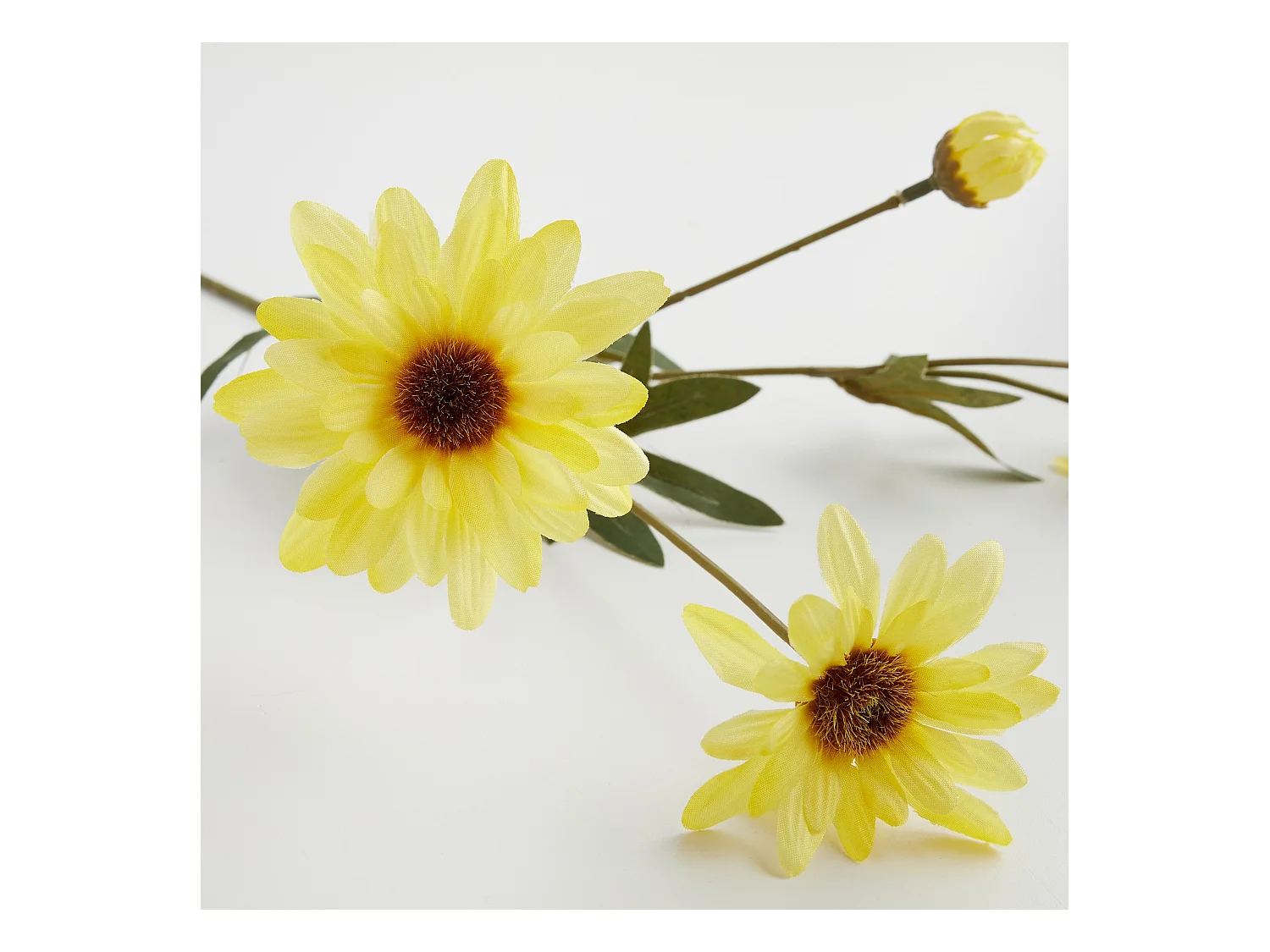 Blume Margareto Mittelgelb 48 x 15 x 8