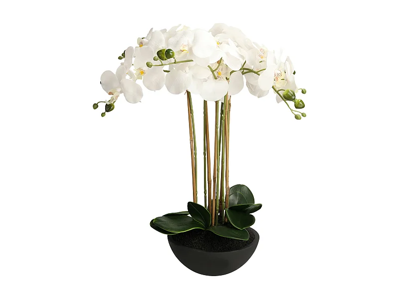 Herzstück Orchidios Blumentopf, Schwarz 43x40,5 cm