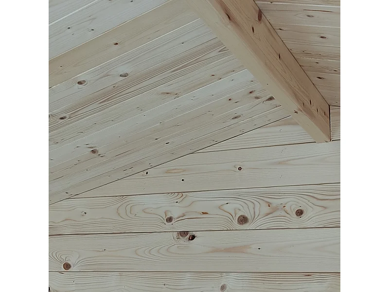 Abri de jardin en bois pour les outils de jardinage JardinBox