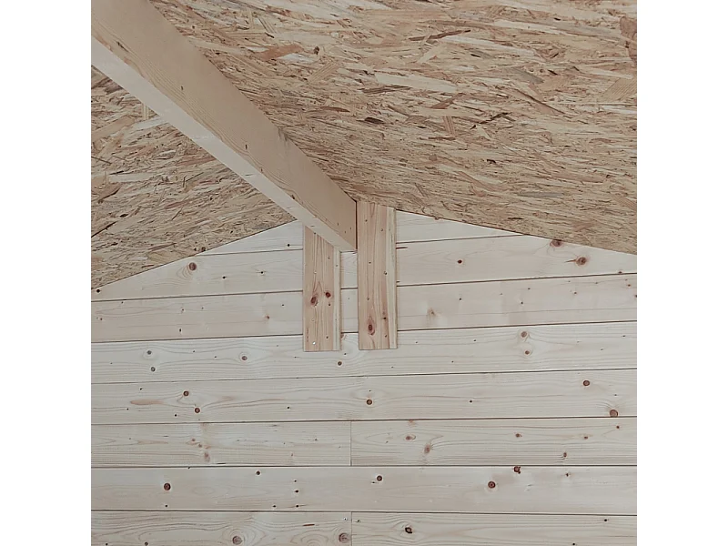 Abri de jardin en bois pour outils porte-fenêtre Cabanon VistaCabin