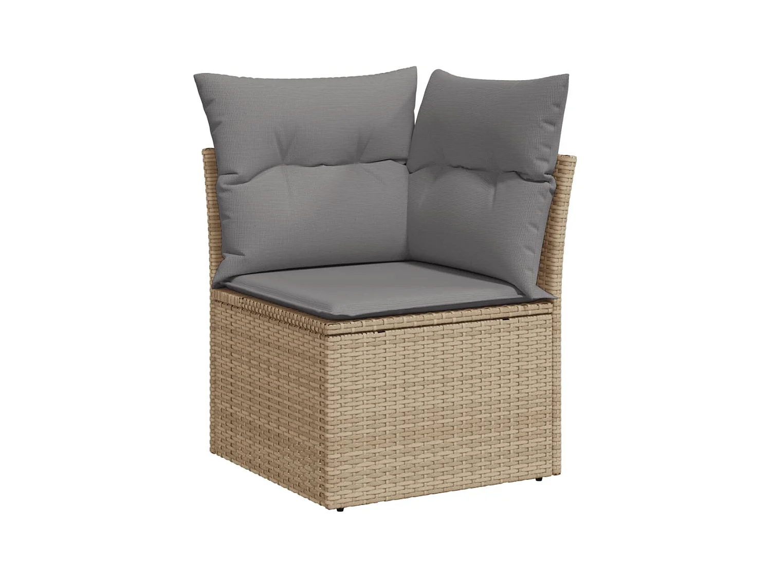 Salon de jardin avec coussins 10 pcs beige résine tressée