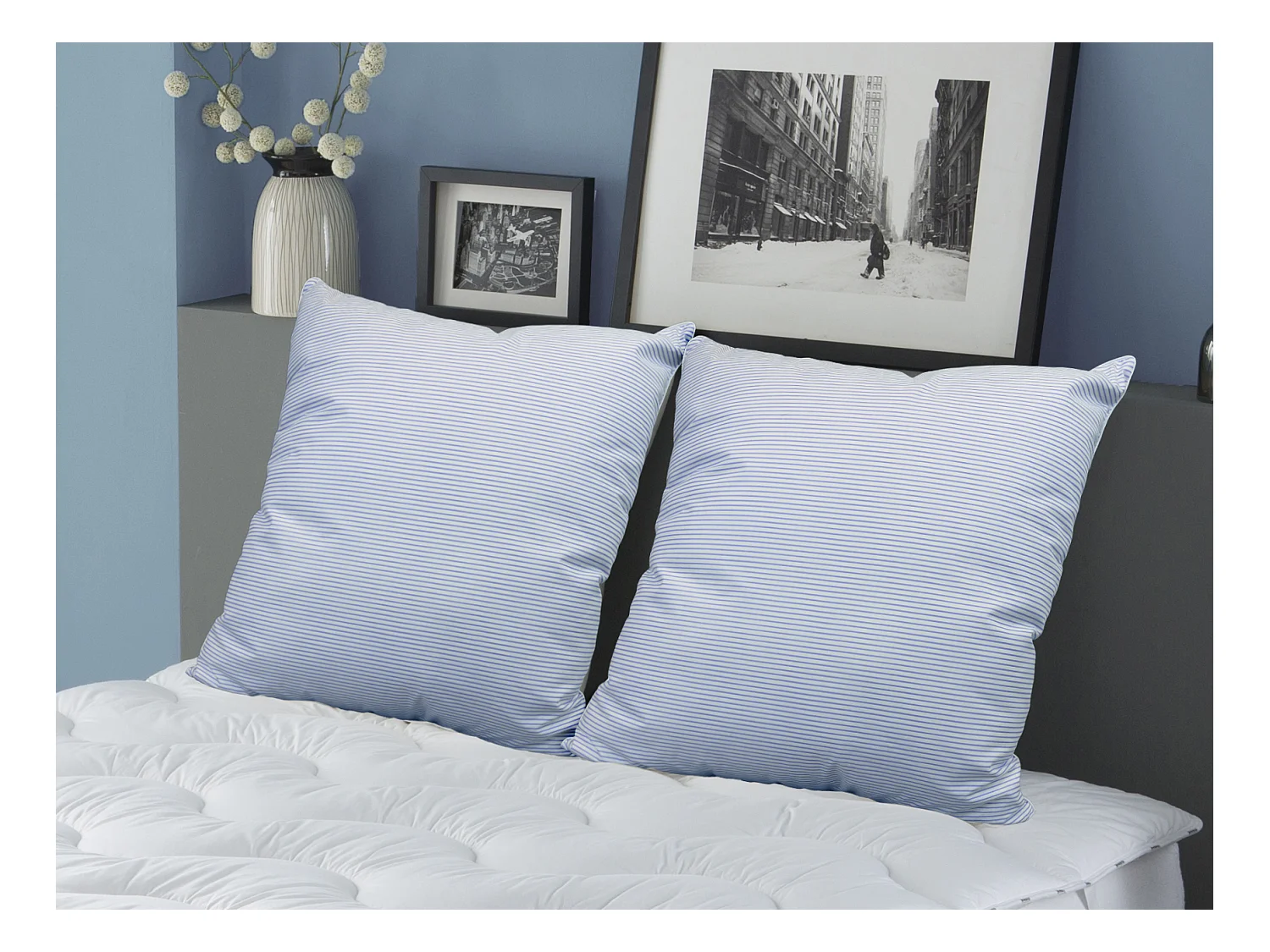 Lot de 2 oreillers DODO naturels fermes plumettes - 60x60 cm - MERIBEL