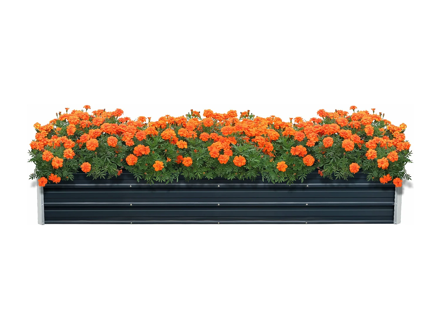 Floreira com 3 barras divisórias 240 x 47 x 40 cm antracite 03_0007185