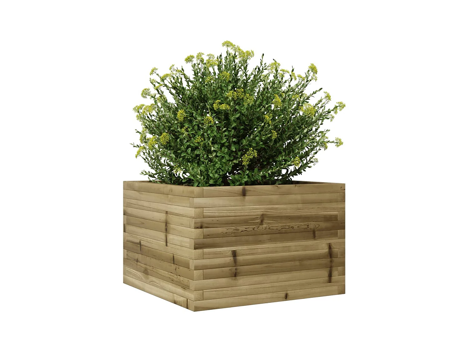 Jardinière bac lit surélevé bois marron 70 x 70 x 45.5 cm 02_0037813