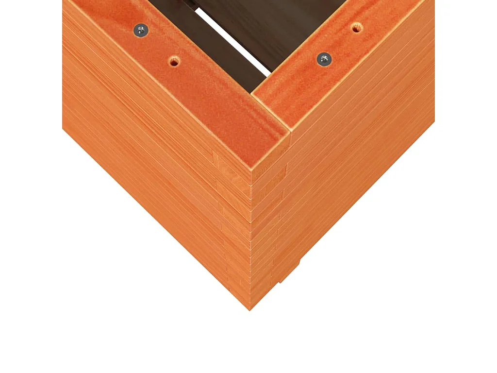 Vassoio per fioriera aiuola rialzata piante fiori terrazza giardino cera 50 x 50 x 72,5 cm legno di pino massiccio marrone 02_0038466