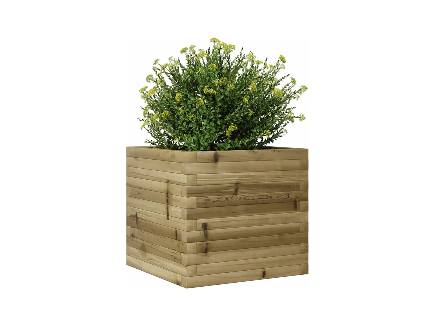 Vassoio per fioriera aiuola rialzata piante fiori terrazza giardino 50 x 50 x 45,5 cm legno di pino impregnato marrone 02_0037635