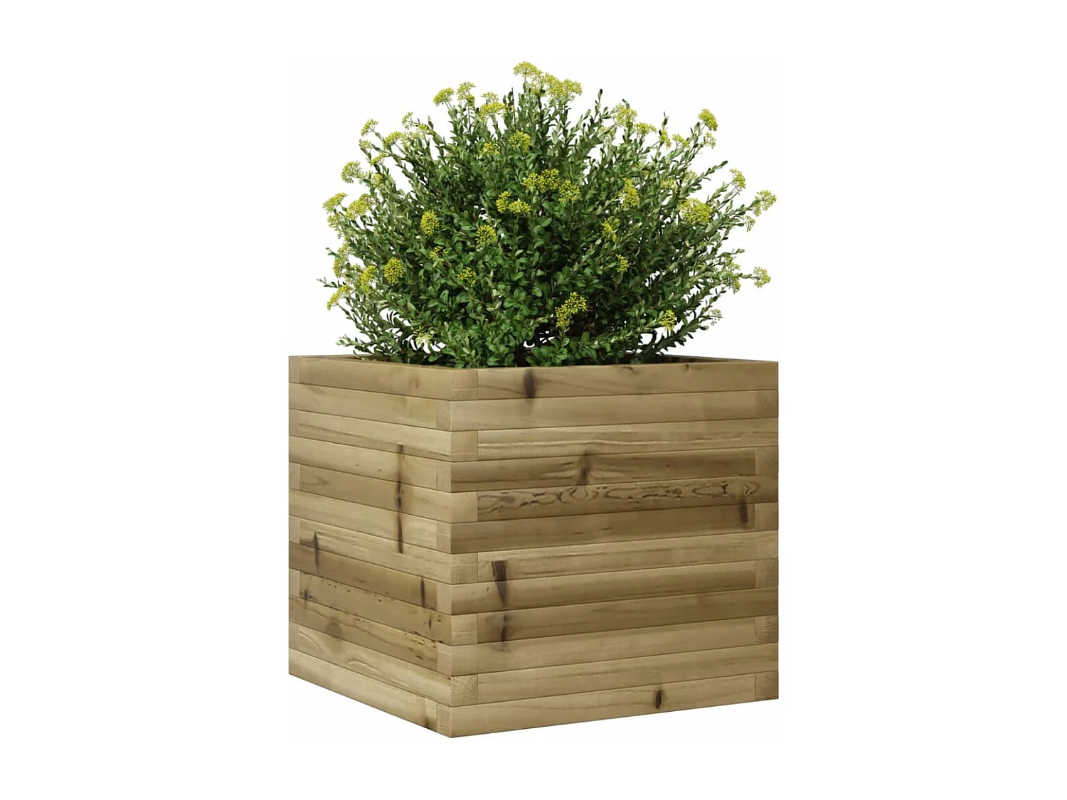 Canteiro elevado para plantas e flores terraço jardim 50 x 50 x 45,5 cm madeira de pinho impregnada marrom 02_0037635