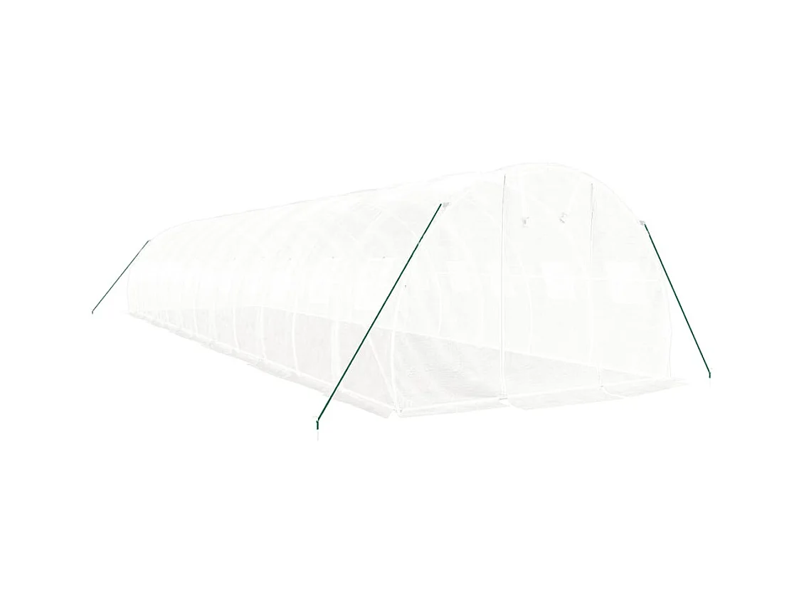 Serra tenda riparo piante fiori ortaggi con struttura in acciaio 36 m² 12 x 3 x 2 m bianco 02_0044577