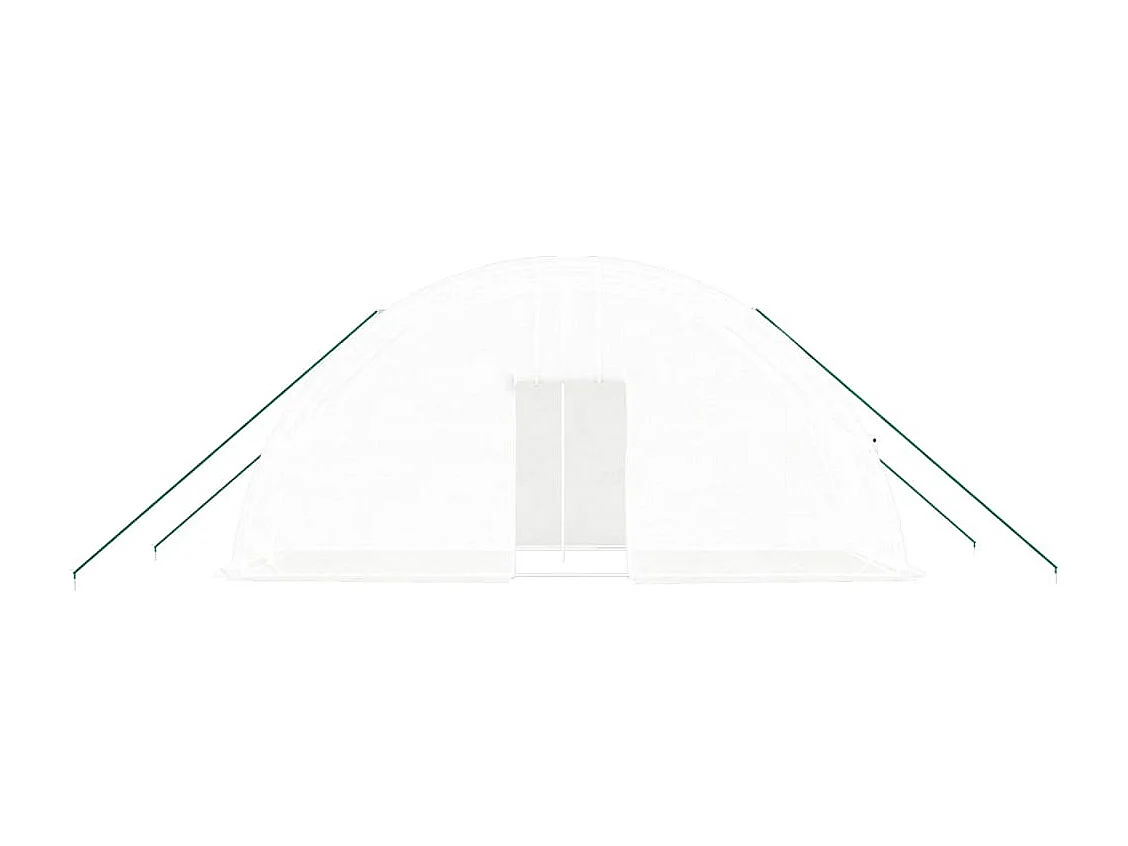 Serre tente abri plante blanche 6 x 2 x 31079 cm 02_0044539