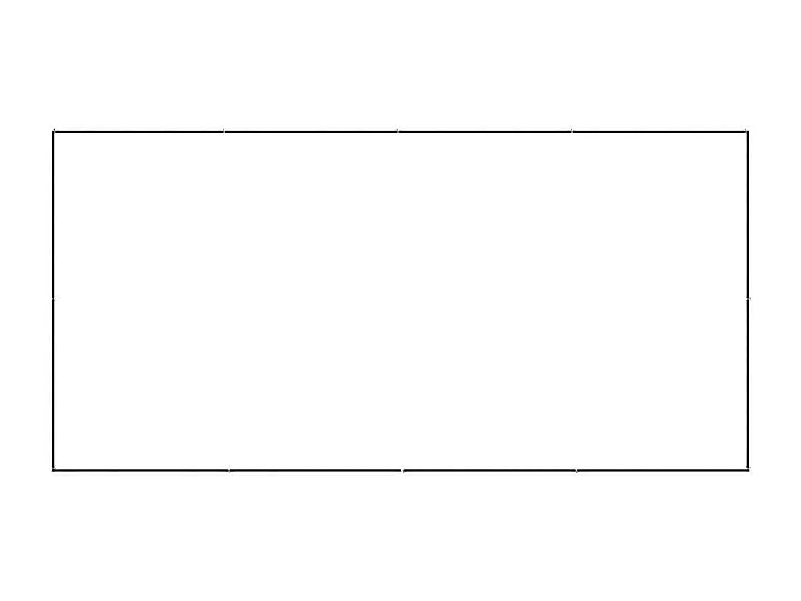 Chenil extérieur cage enclos noire 400 x 200 x 70 cm 02_0000557