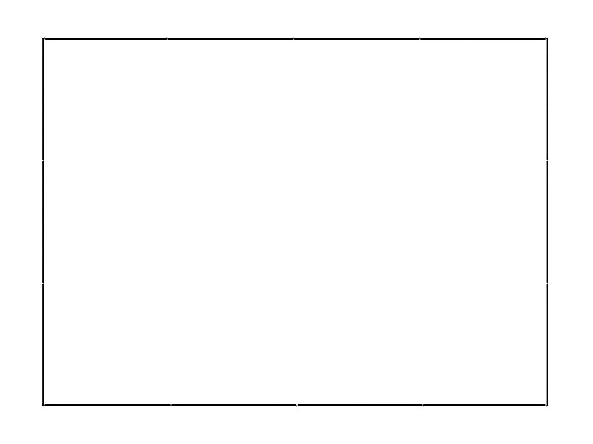 Chenil extérieur cage enclos noire 400 x 300 x 70 cm 02_0000492