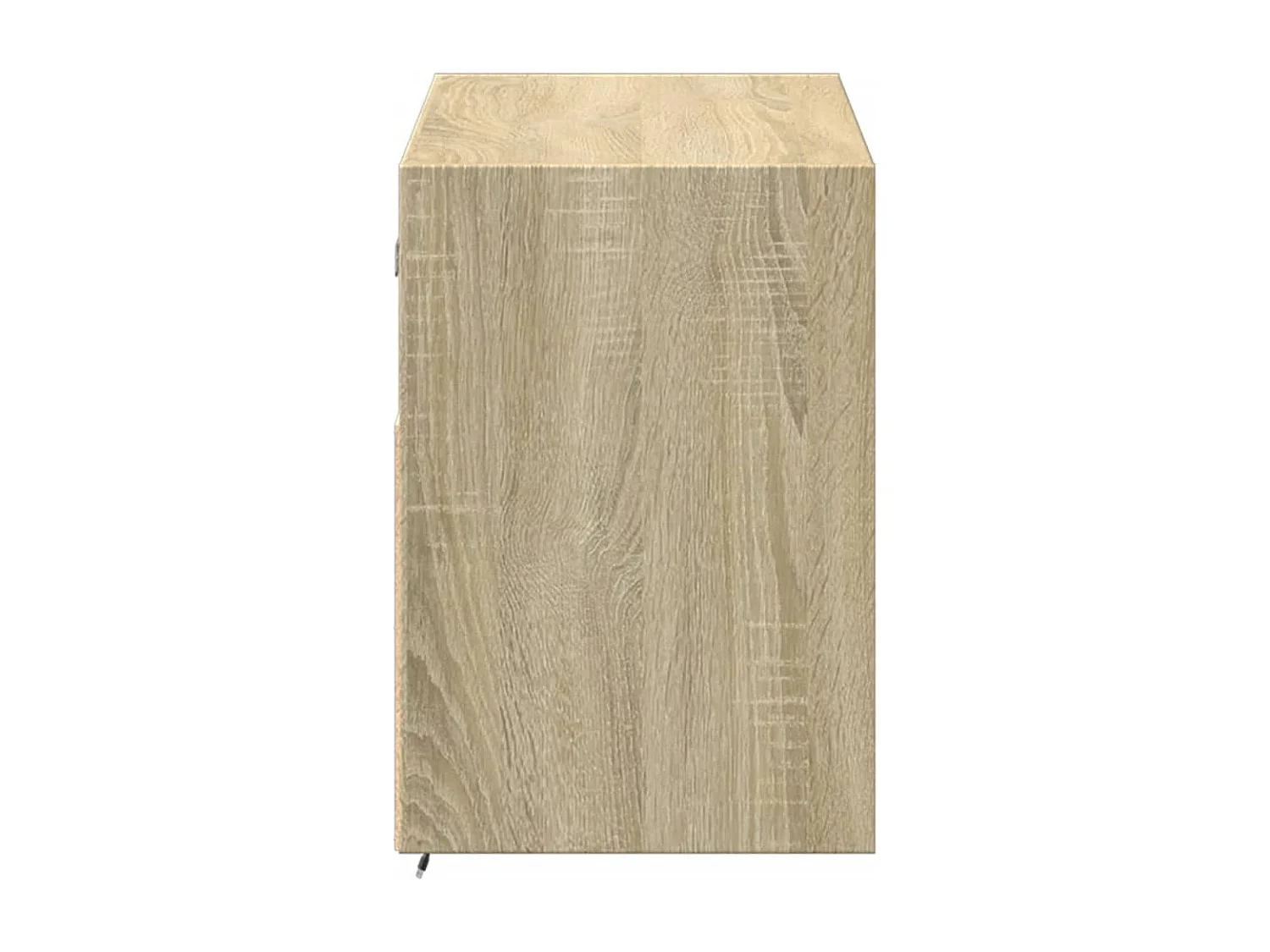 Meuble TV mural avec lumières LED chêne sonoma 100x31x45 cm