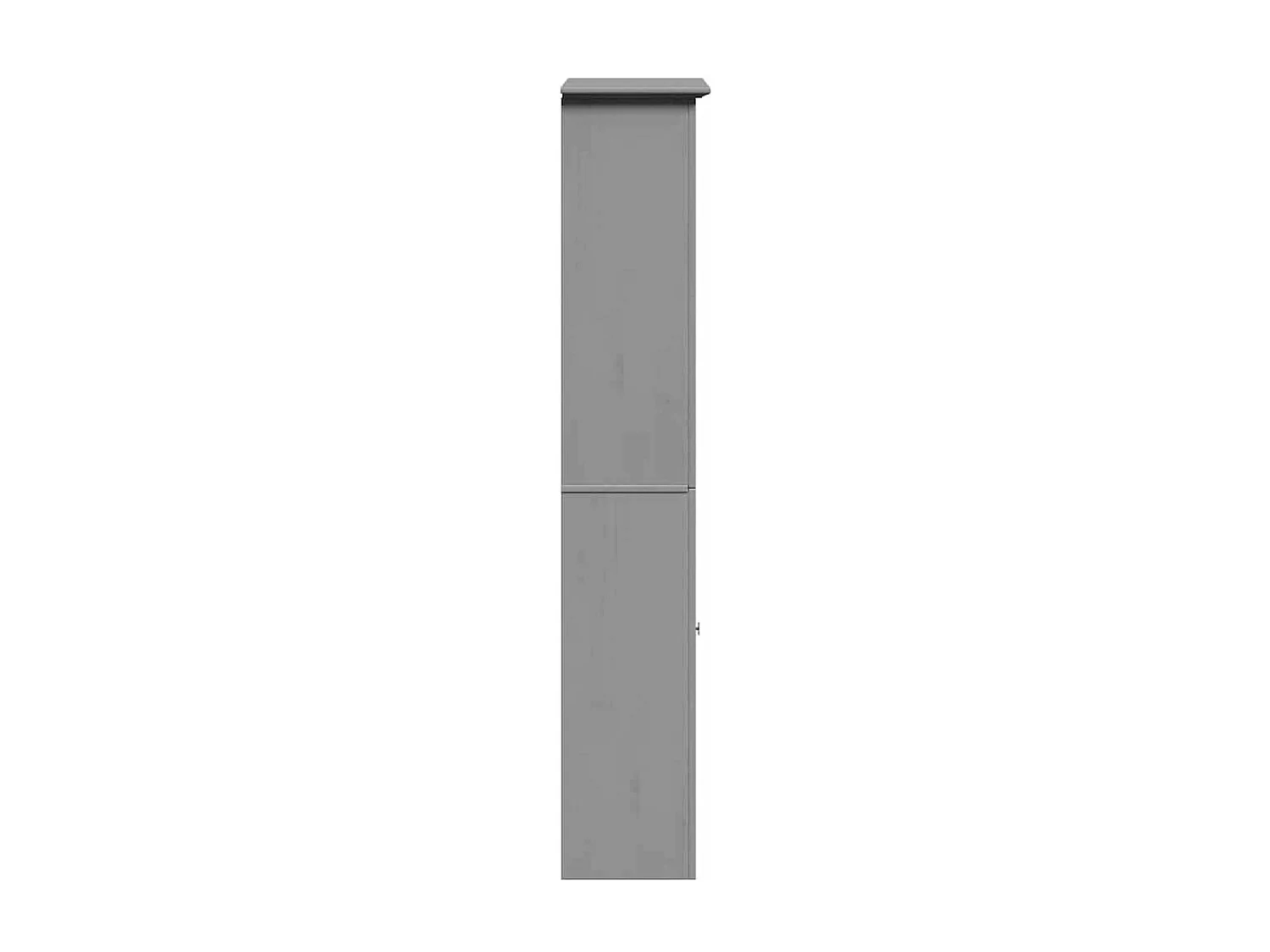 Badkamerkast BODO 44x30x160 cm grijs
