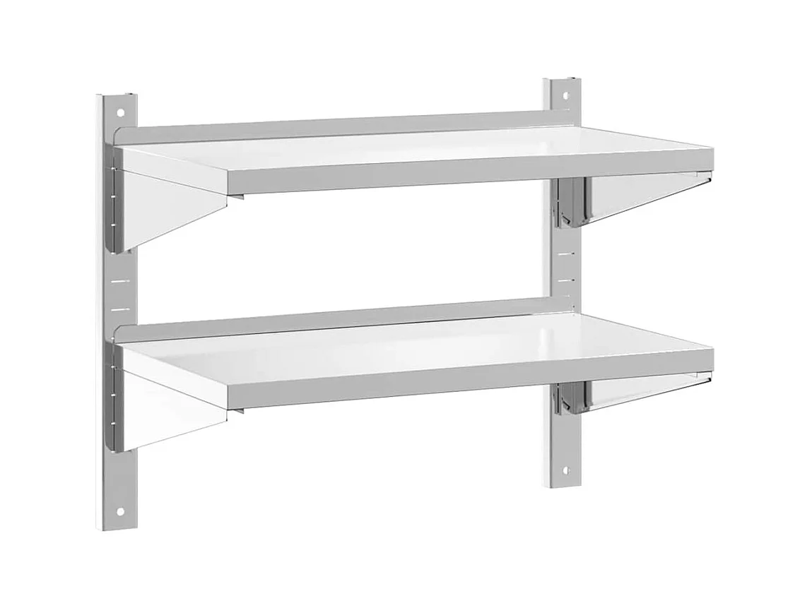 Wandschap 2-laags 75x40x60 cm roestvrijstaal zilverkleurig